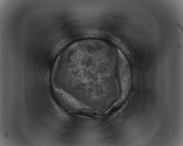 X0000093100058200710171210