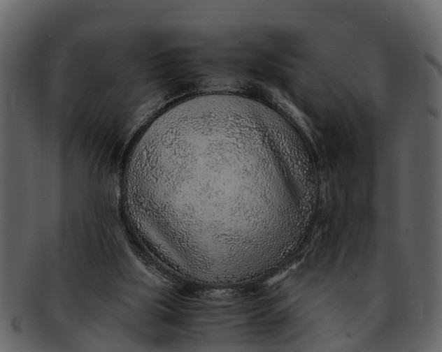 X0000093100059200710171210
