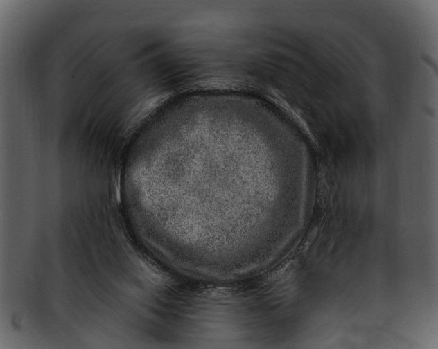 X0000093100062200710171210