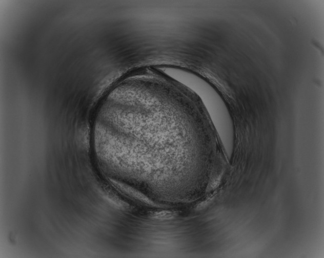 X0000093100064200710171210