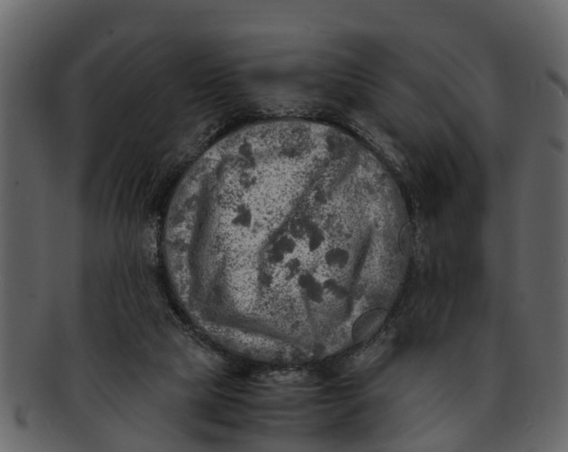 X0000093100065200710171210
