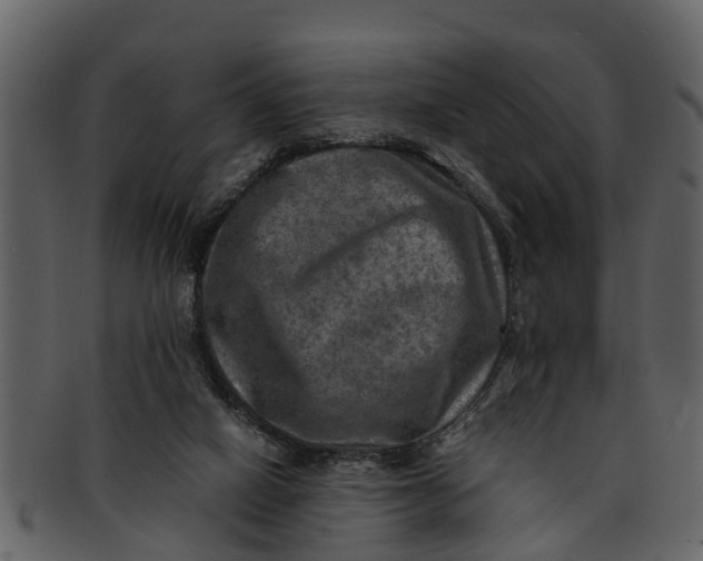 X0000093100066200710171210