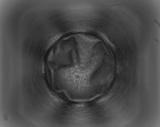 X0000093100068200710171210