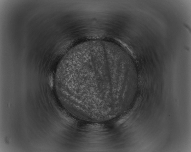 X0000093100069200710171210