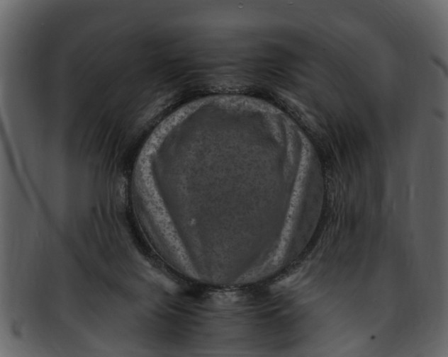 X0000093100071200710171210