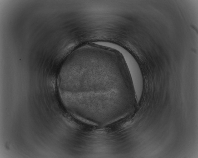 X0000093100072200710171210