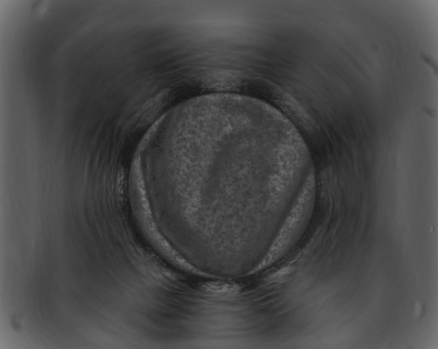 X0000093100073200710171210