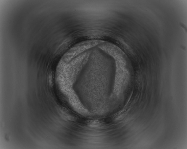 X0000093100074200710171210