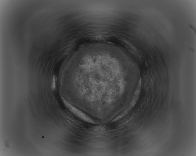 X0000093100075200710171210