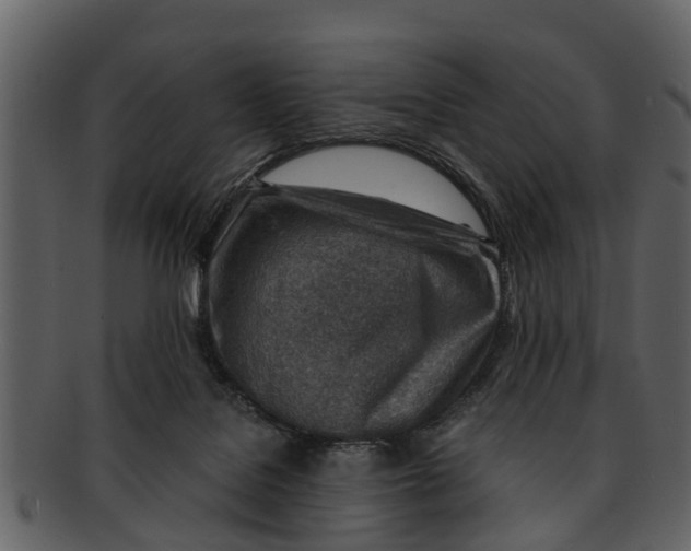 X0000093100076200710171210