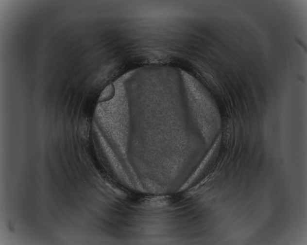 X0000093100078200710171210