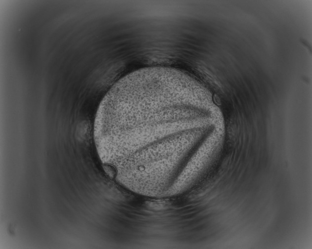 X0000093100079200710171210