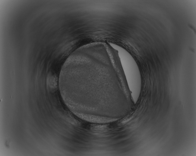 X0000093100081200710171210