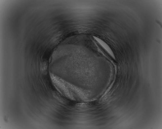 X0000093100082200710171210