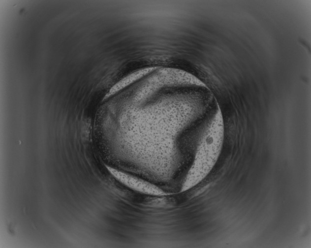 X0000093100083200710171210