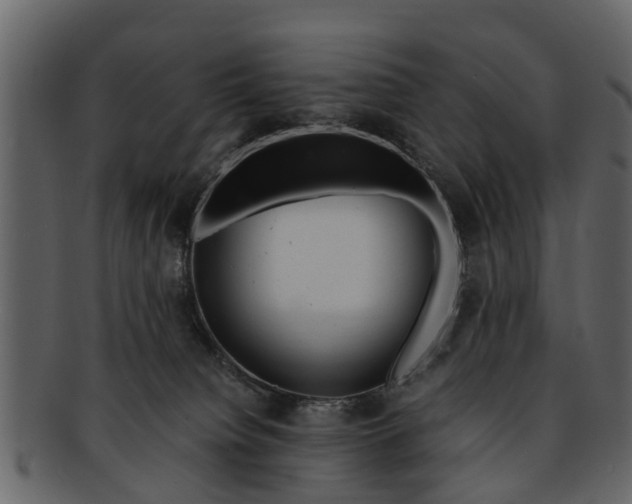 X0000093100084200710171210