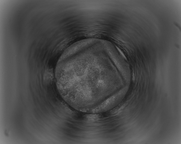 X0000093100085200710171210