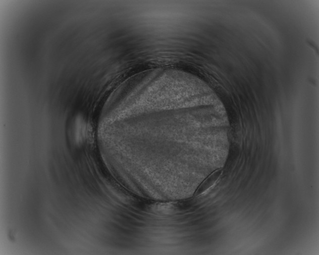 X0000093100086200710171210