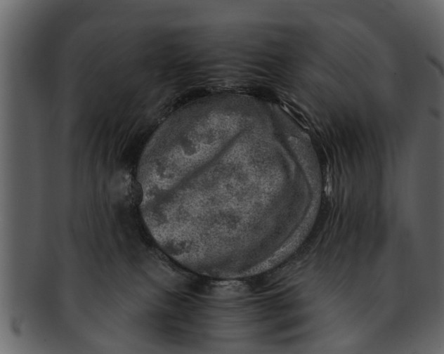 X0000093100087200710171210