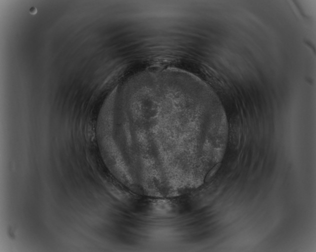 X0000093100091200710171210