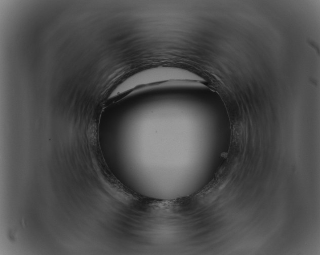 X0000093100092200710171210