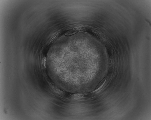 X0000093100094200710171210