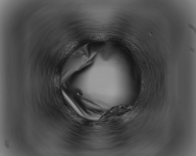 X0000093100096200710171210