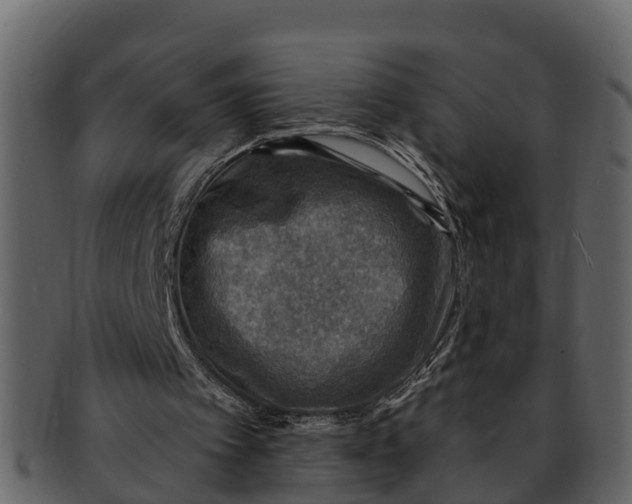 X0000093100097200710171210