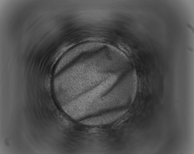 X0000093100098200710171210