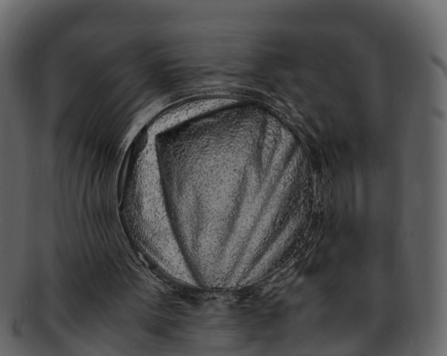 X0000093100099200710171210