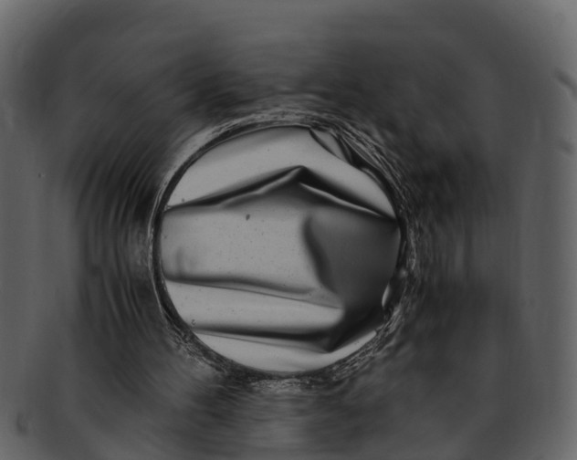 X0000093100100200710171210
