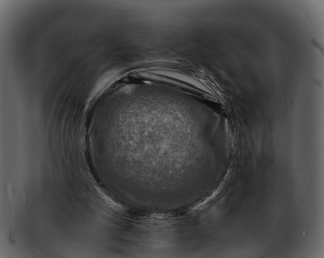 X0000093100101200710171210