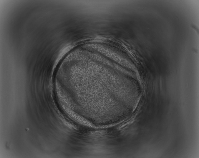 X0000093100102200710171210