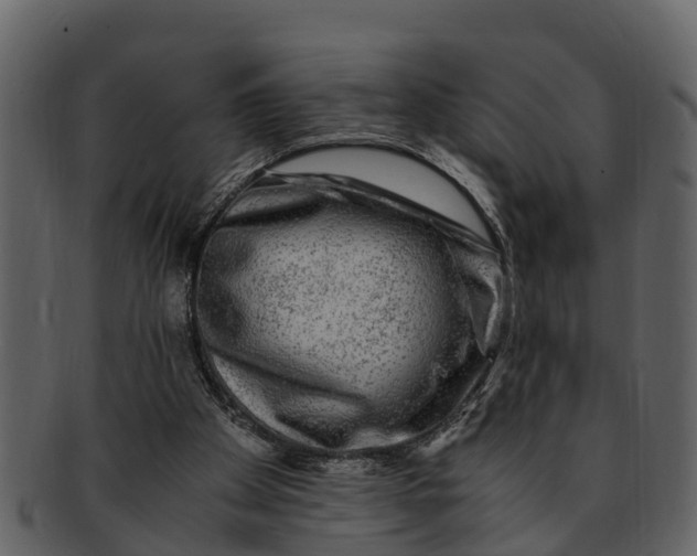 X0000093100105200710171210