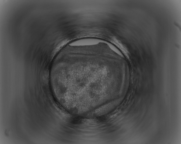 X0000093100107200710171210