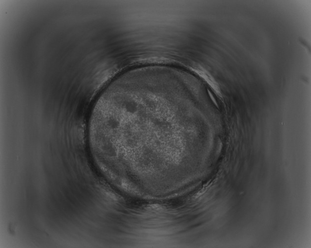 X0000093100111200710171210