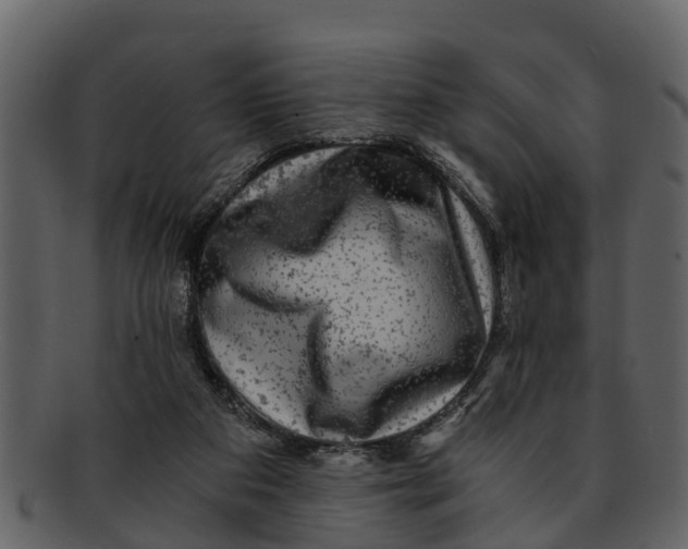 X0000093100113200710171210