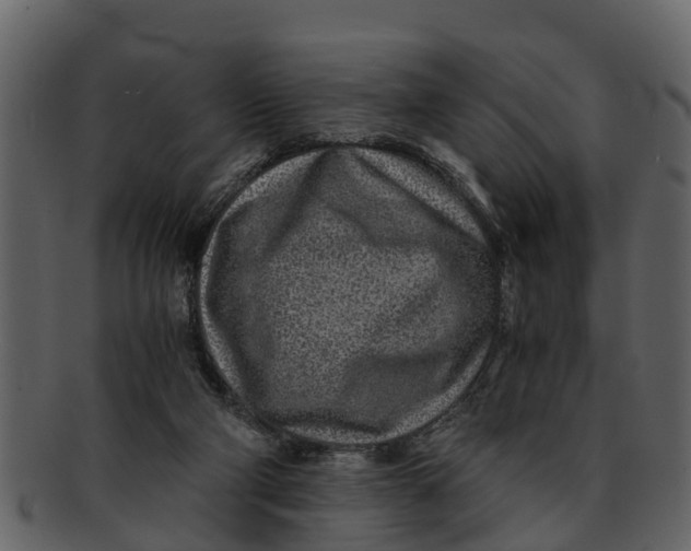 X0000093100114200710171210