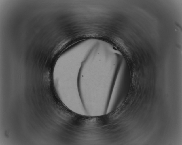 X0000093100116200710171209
