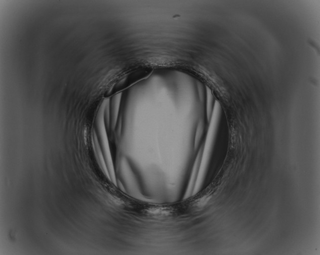 X0000093100117200710171209