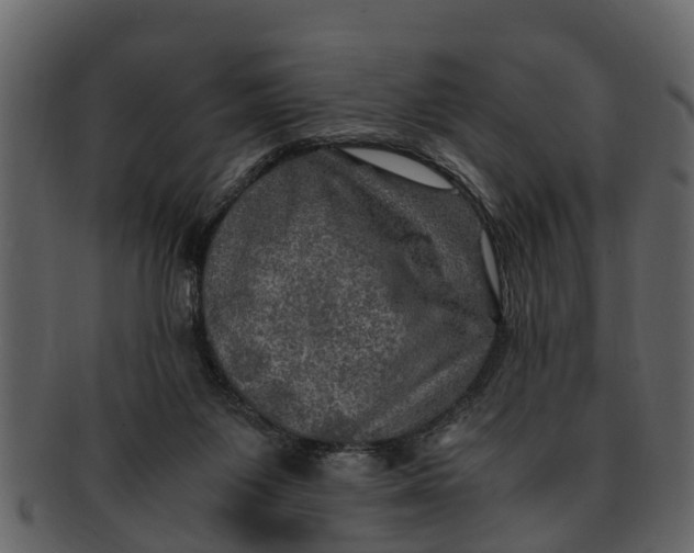 X0000093100119200710171209
