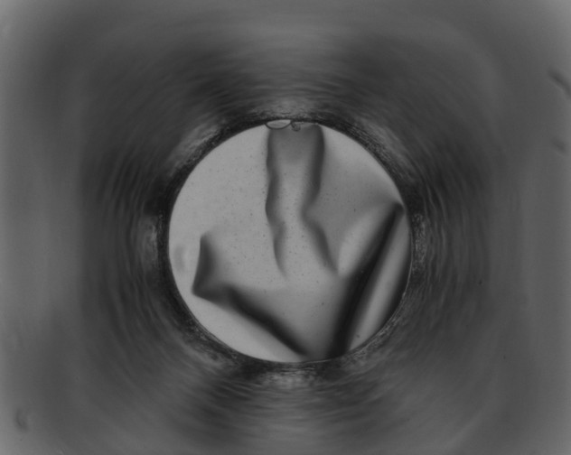 X0000093100120200710171209