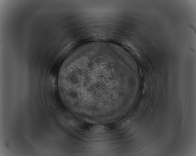 X0000093100123200710171209