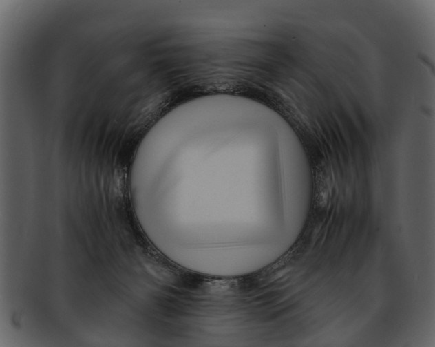 X0000093100126200710171209