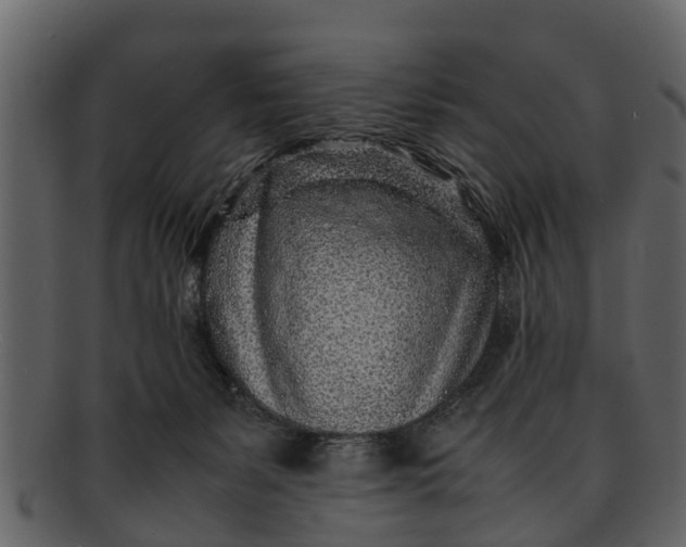 X0000093100127200710171209