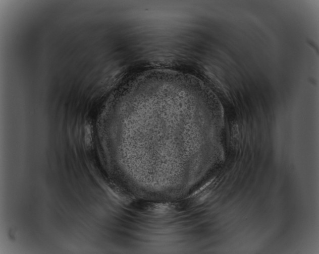 X0000093100130200710171209