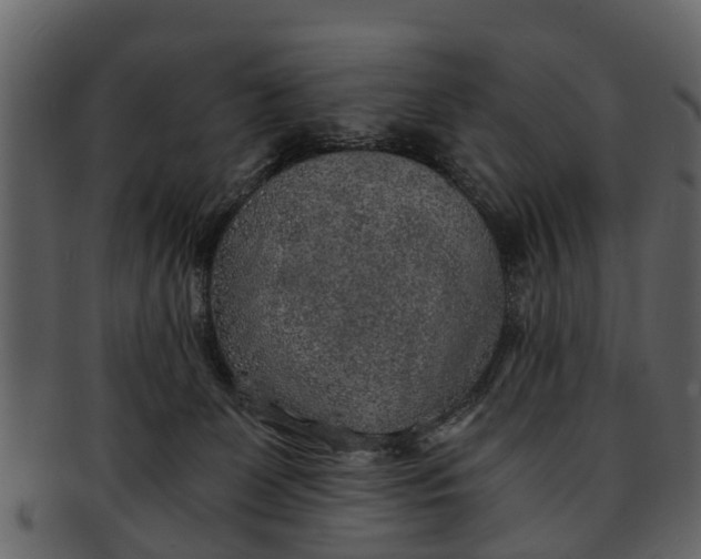 X0000093100131200710171209