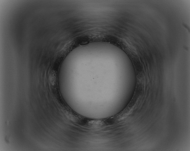 X0000093100133200710171209