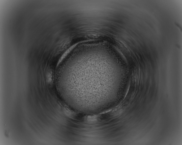 X0000093100134200710171209