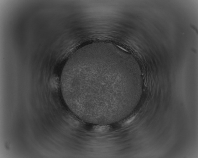 X0000093100135200710171209